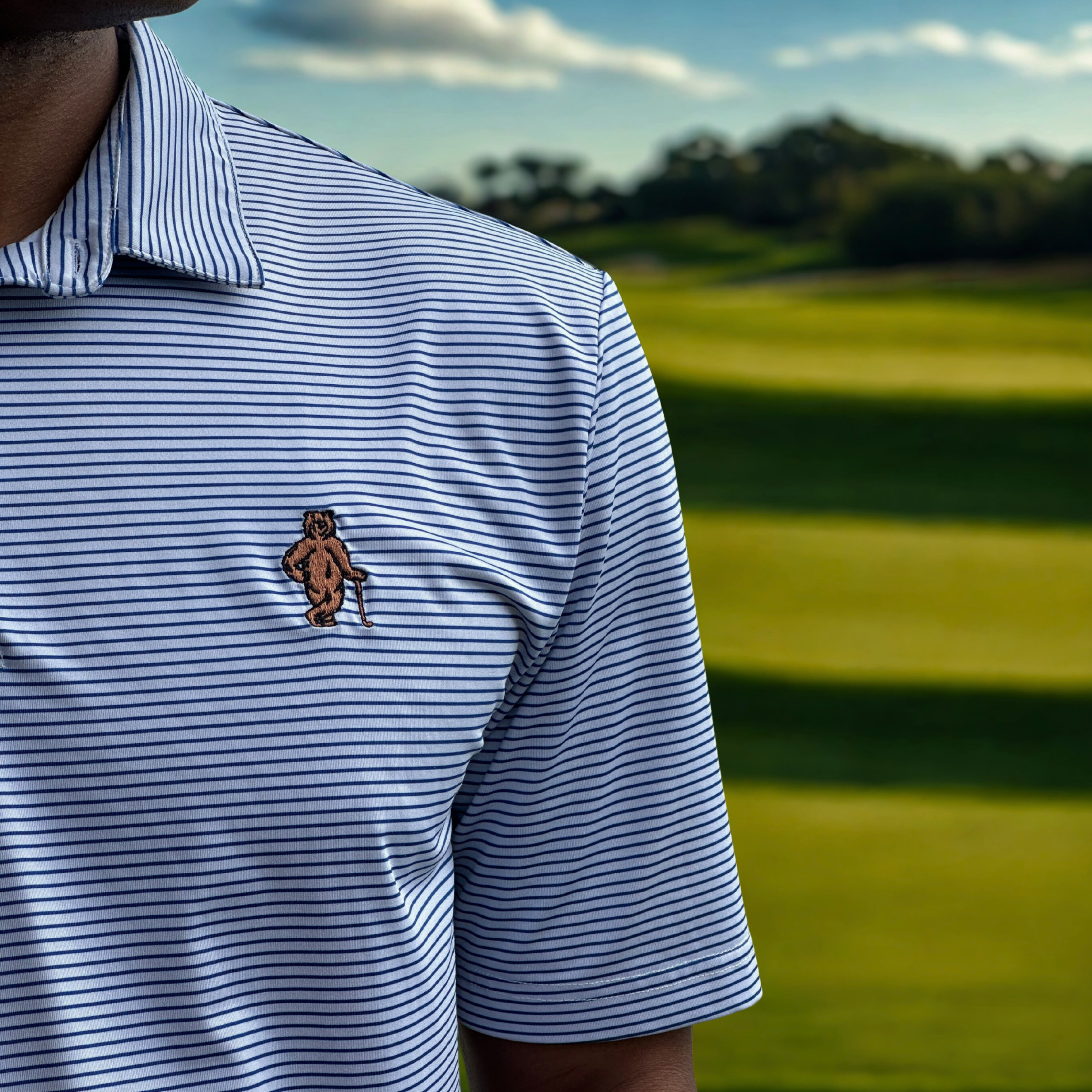 Polo - Navy Striped It