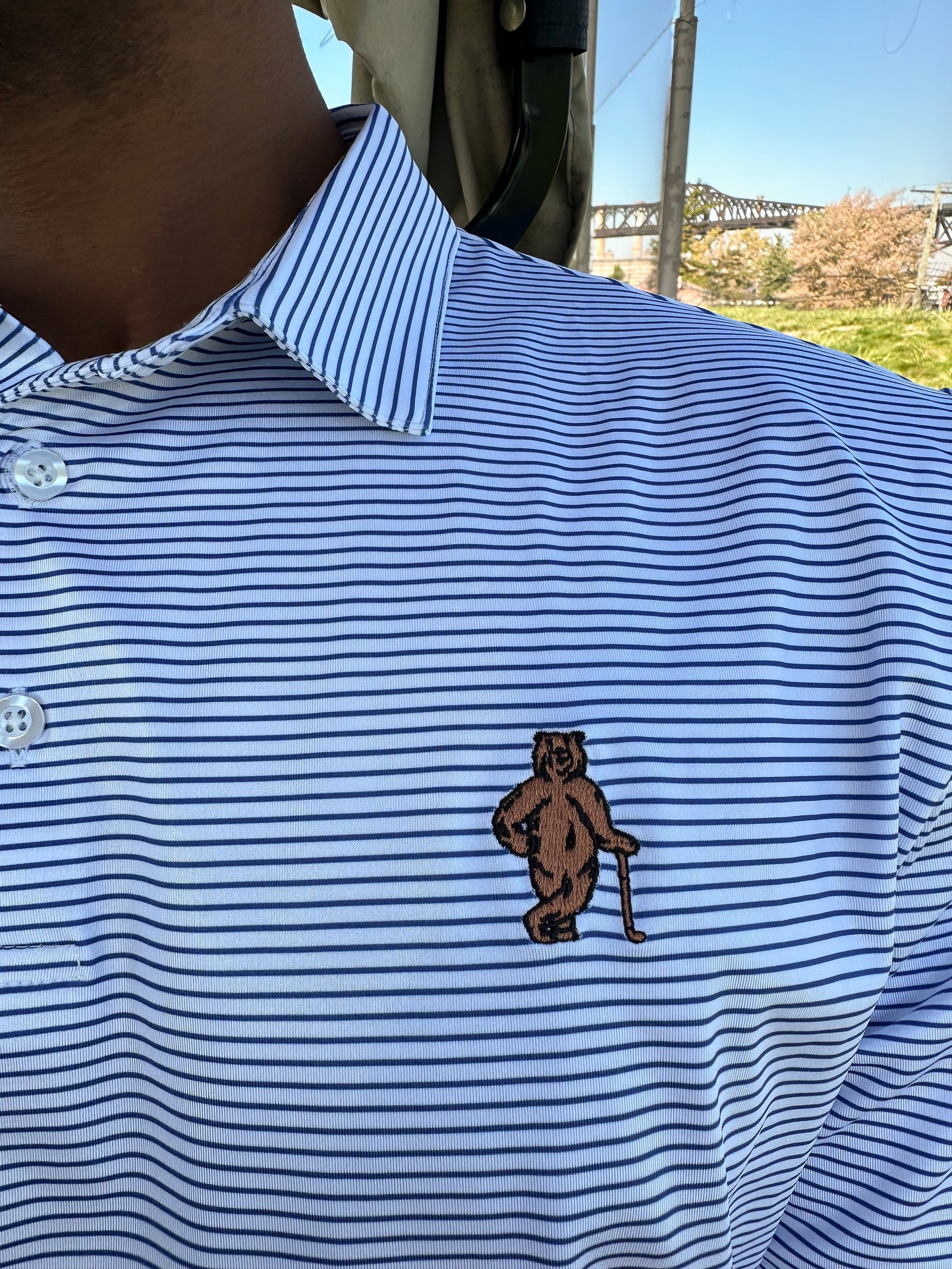 Polo - Navy Striped It