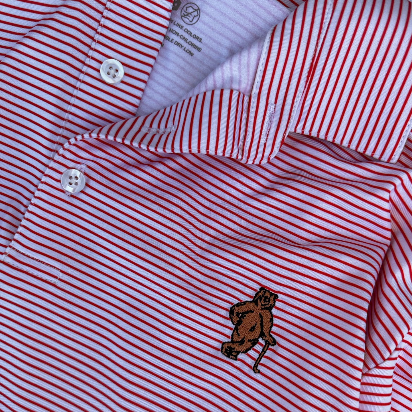 Polo - Red Striped It